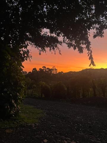 Siquirres Mountain Lodge Siqurres Da Alegria Buitenkant foto